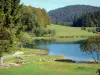 Landschappen van de Ain - Genin meer, omgeven door weilanden en bomen, in de Haut-Bugey