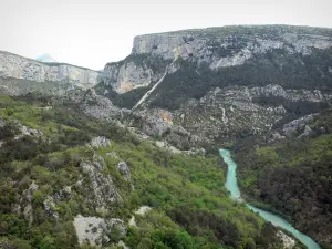 Landschappen van Alpes-de-Haute-Provence - Gorges du Verdon: Verdon rivier omzoomd met bomen en kliffen (rotswanden) in de Verdon Regionaal Natuurpark