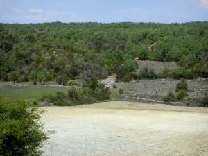 Landschappen van Alpes-de-Haute-Provence - Field omgeven door struiken