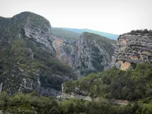 Landschappen van Alpes-de-Haute-Provence - Gorges du Verdon Gorges de weg, bomen en rotsen (rotswanden) in de Verdon Regionaal Natuurpark