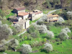 Landschappen van de Ardèche - Stenen gebouwen, omgeven door bomen
