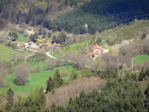 Landschappen van de Ardèche - Huizen op een kleine weg in een bosrijke omgeving