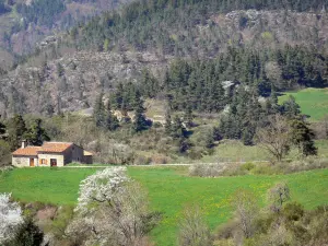 Landschappen van de Ardèche - Stenen huis in een groene omgeving