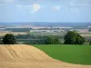 Landschappen van de Ardennen - Opeenvolging van velden afgewisseld met bomen