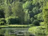 Landschappen van de Ardennen - Parc Naturel Regional des Ardennes - Valley Semoy: Semoy rivier omzoomd met bomen