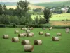 Landschappen van de Ardennen - Balen van hooi in een weide, bos in het hart van de Ardennen