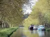 Landschappen van de Aude - Canal du Midi: route omzoomd met platanen, met afgemeerde boten