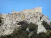 Landschappen van de Aude - Corbieres kasteel hoog op de rotsachtige kaap