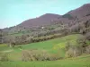 Landschappen van de Aude - Road, weilanden, bomen en bos