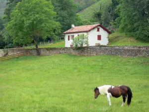 Landschappen van de Baskenland - Aldudes vallei: paard in een weiland in de buurt van een wit huis met rode luiken omgeven door bomen
