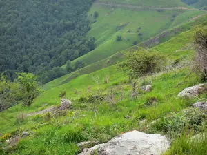 Landschappen van de Baskenland - Groene hellingen van de Soule
