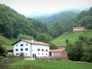 Landschappen van de Baskenland - Aldudes Valley: wit huis met groene luiken in een groene