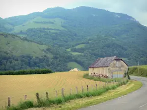 Landschappen van de Baskenland - Groene heuvel met uitzicht op een schuur Soule berm