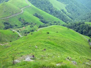 Landschappen van de Baskenland - Groene heuvels van de Soule
