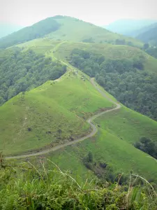 Landschappen van de Baskenland - Uitzicht op de groene heuvels van de Soule