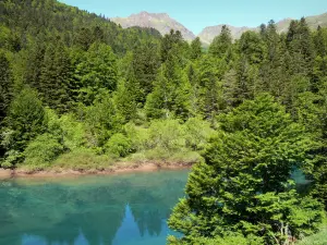 Landschappen van de Béarn - Aspe vallei - de Pyreneeën National Park: Lake omgeven door bos Anglus