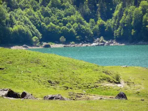 Landschappen van de Béarn - Pyreneeën National Park: Lake Bious-Artigues en de groene omgeving