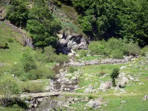 Landschappen van de Béarn - Gave Bious