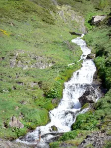 Landschappen van de Béarn - Mountain stream