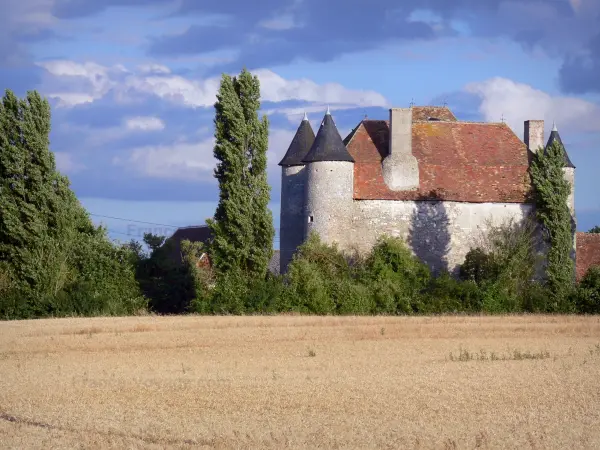 Landschappen van de Berry - Pouzieux Castle (de stad van Chatillon-sur-Indre), bomen en in het veld, wolken in de lucht