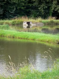 Landschappen van de Berry - Regionale Natuurpark van de Brenne: de rand van vijvers