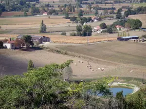 Landschappen van de Berry - Vijver, velden, huizen en bomen