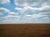 Landschappen van de Berry - Tarwe veld en wolken in de blauwe hemel