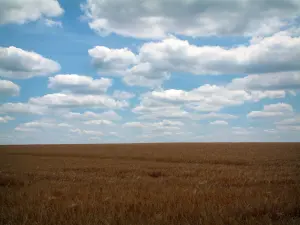 Landschappen van de Berry - Tarwe veld en wolken in de blauwe hemel