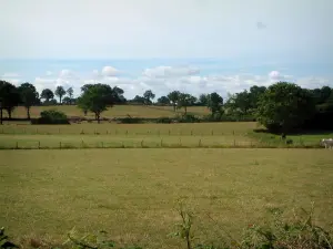 Landschappen van de Berry - Weilanden, bomen en wolken in de lucht