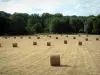 Landschappen van de Berry - Veld met balen stro, bos en wolken in de lucht