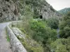 Landschappen van de Bourbonnais - Chouvigny Gorge (kloof Sioule): route, tunnel, rotswanden, en door bomen omzoomde rivier de Sioule