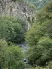 Landschappen van de Bourbonnais - Chouvigny Gorge (kloof Sioule): Sioule omzoomd met bomen en rotswanden