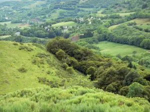 Landschappen van de Cantal - Parc Régional des Volcans d'Auvergne Natural - Monts du Cantal: groen panorama