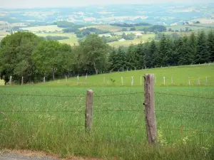 Landschappen van de Cantal - Châtaigneraie Cantal: view van de Puy van de boom over de gemeente van Montsalvy