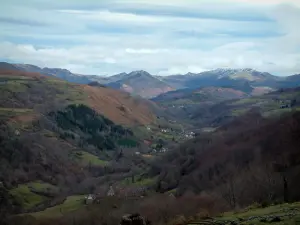 Landschappen van de Cantal - Parc Naturel Régional des Volcans d'Auvergne: Cantal bergen bedekt met bossen en weiden