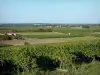 Landschappen van de Charente - Wijngaarden, akkers, huizen en bomen