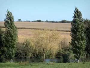 Landschappen van de Charente - Bomen aan de rand van het water en velden