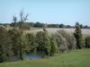 Landschappen van de Charente - Bomen aan de rand van het water, weide, en huizen