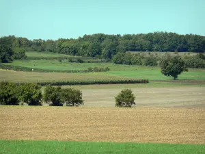 Landschappen van de Charente - Velden en bomen