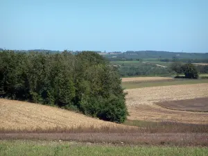 Landschappen van de Charente - Velden en bomen