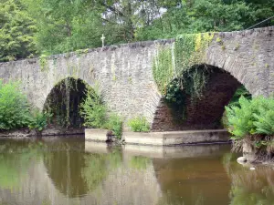 Landschappen van de Corrèze - Gorges Vézère: Middeleeuwse brug over de Salient Vézère rivier; in de stad van Allassac