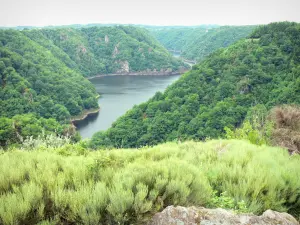 Landschappen van de Corrèze - Panorama van de gorges van de Dordogne van de Saint-Nazaire site gelegen in de gemeente Saint-Julien-près-Bort