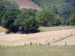 Landschappen van de Corrèze - Met bomen omzoomde Champs