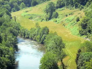 Landschappen van de Corrèze - Vézère kloven: uitzicht op de rivier Vézère, omringd door groen