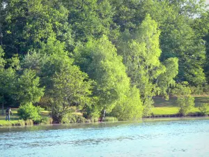 Landschappen van de Corrèze - Bomen door het meer van Coiroux