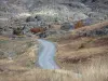 Landschappen van de Dauphiné - Kleine bergweg vol met rotsen en grassen