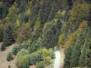 Landschappen van de Dauphiné - Regionale Natuurpark van de Chartreuse (Chartreuse Bergen): bos weg omzoomd met bomen en dennen