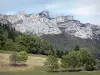 Landschappen van de Dauphiné - Weide met bomen, bossen en kliffen (rotswanden) boven de rest