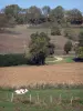 Landschappen van de Dauphiné - Plateau van het eiland Cremieu: koe in een weiland, velden en bomen