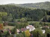 Landschappen van de Dauphiné - Huizen omgeven door bomen en weiden, bos domineert alle